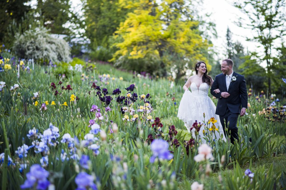 Wedding Photos – High Sierra Iris & Wedding Gardens | Camino, CA